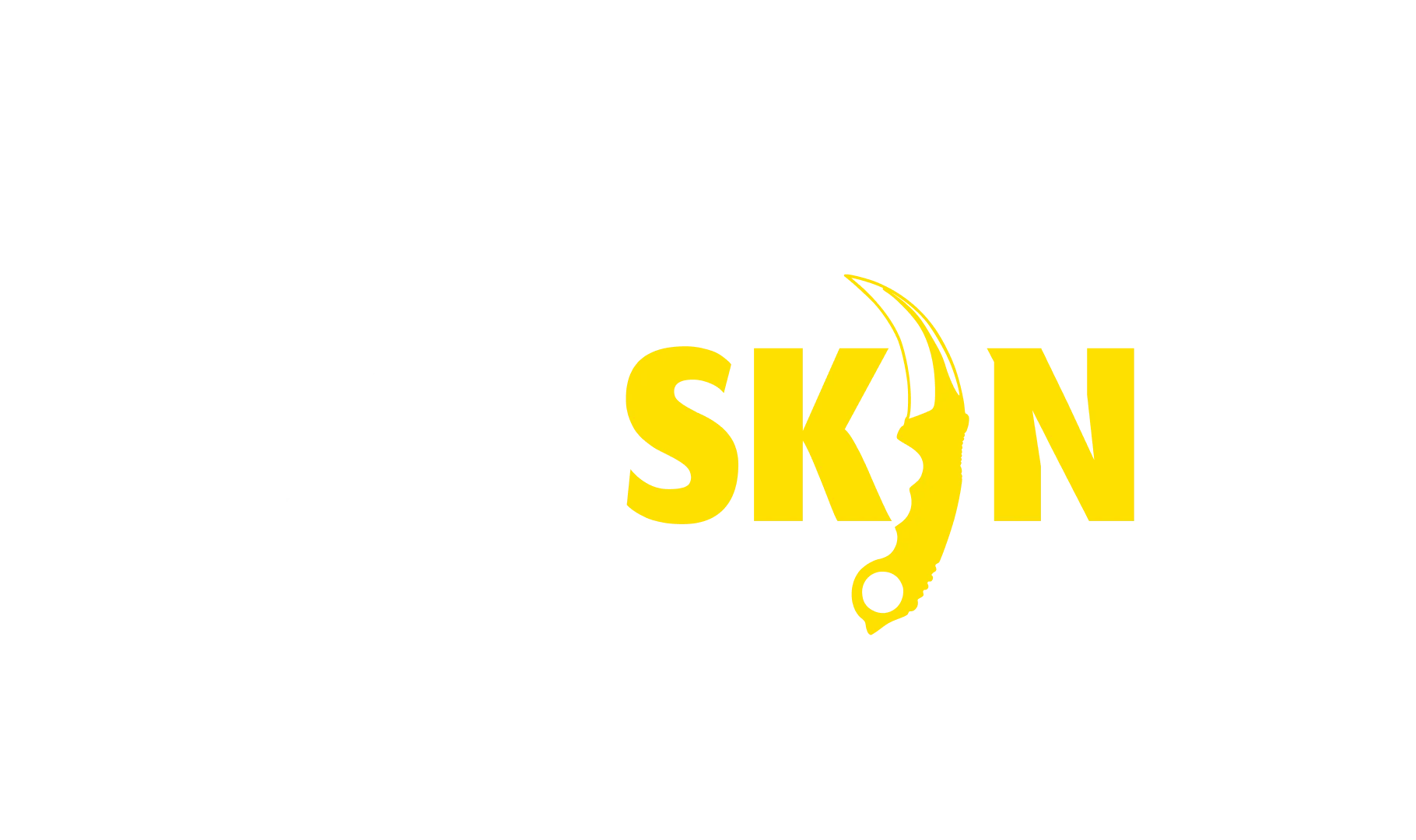 csgo skins